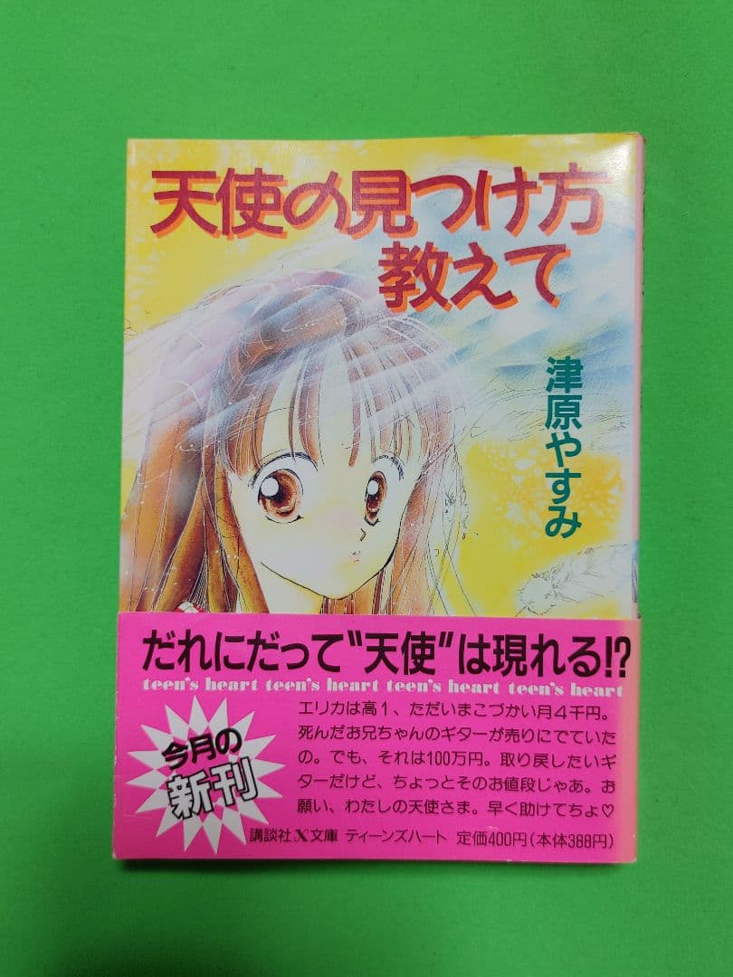 Literature Novel