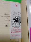 Literature Novel