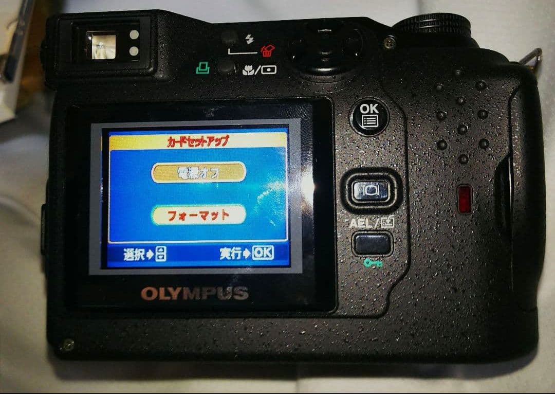 Nikon Compact Digital Camera Coolpix 700