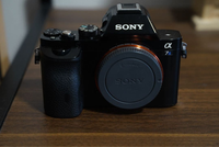 Sony Mirrorless Interchangeable Lips 7S