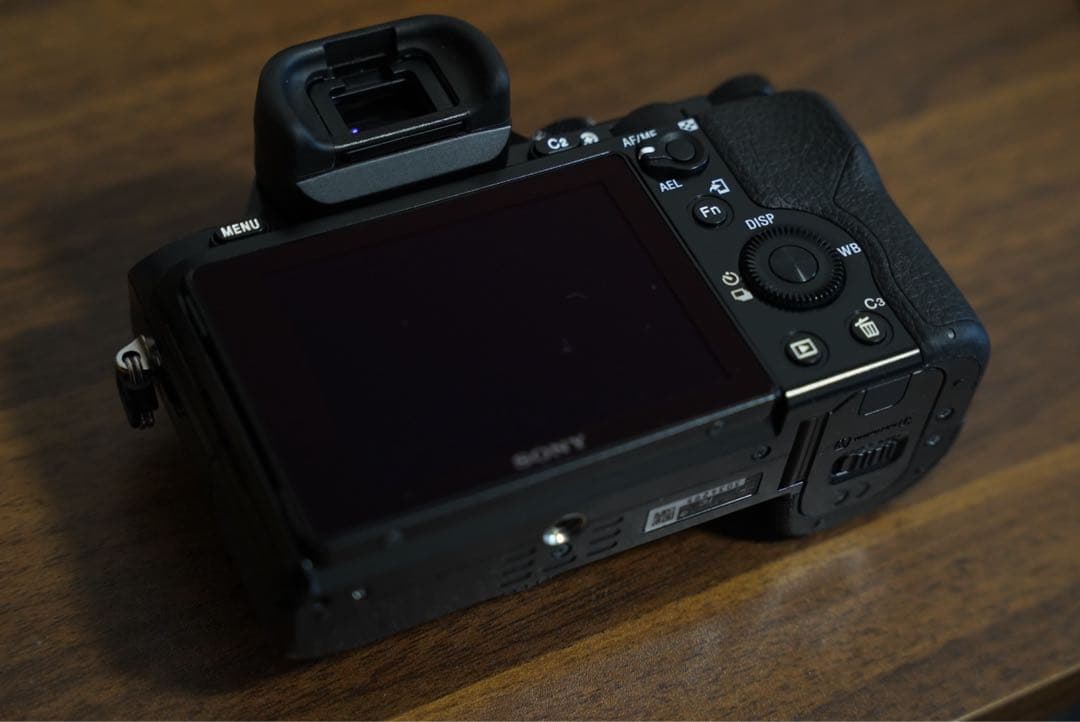 Sony Mirrorless Interchangeable Lips 7S