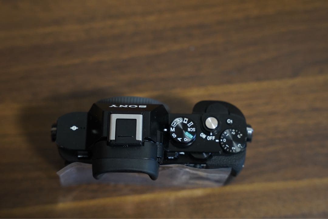 Sony Mirrorless Interchangeable Lips 7S