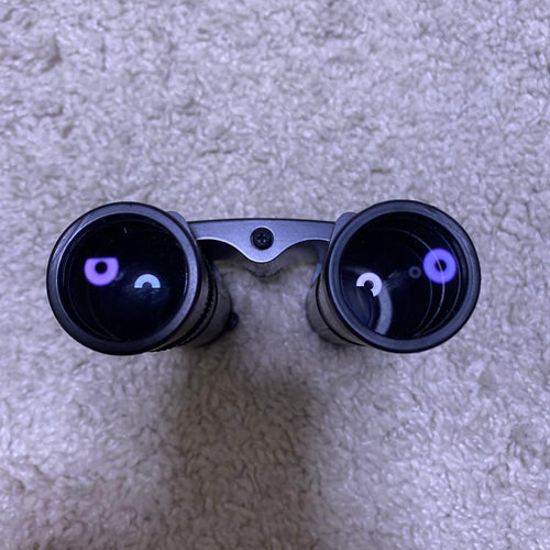 Leica Binoculars Opera Glasses 10X25 Bca Trinovid
