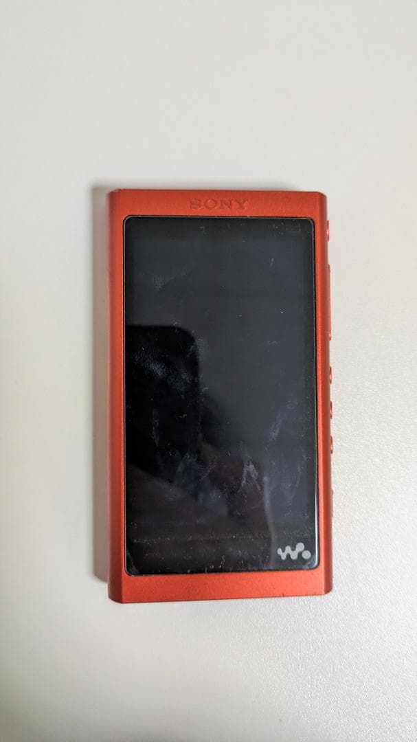 Sony Digital Audio Player Nw-A55