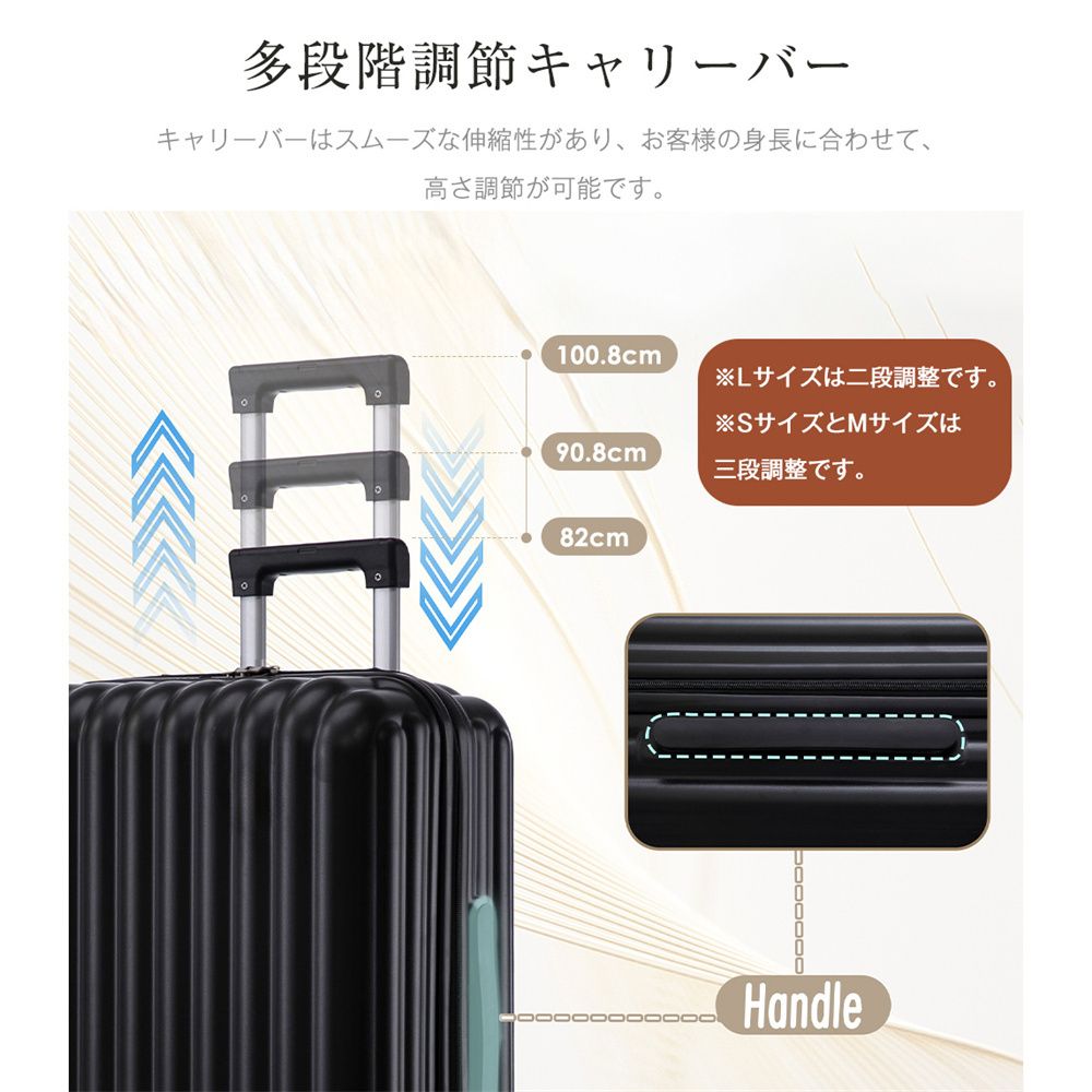 Carry Case L Tsa 360 1