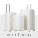 Carry Case L Tsa 360 1