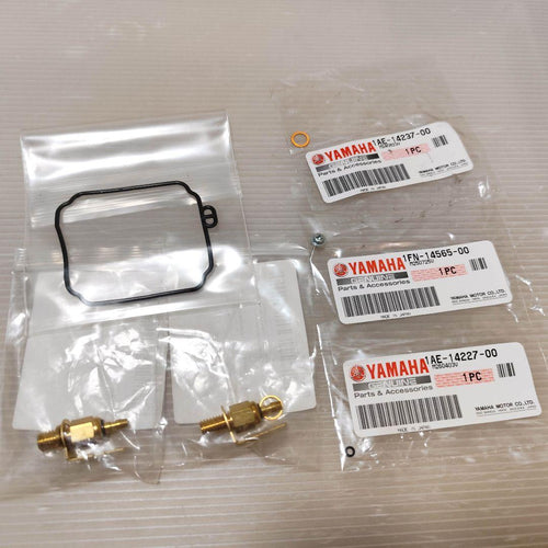 Mikuni Carburetor Fuel Injection 250