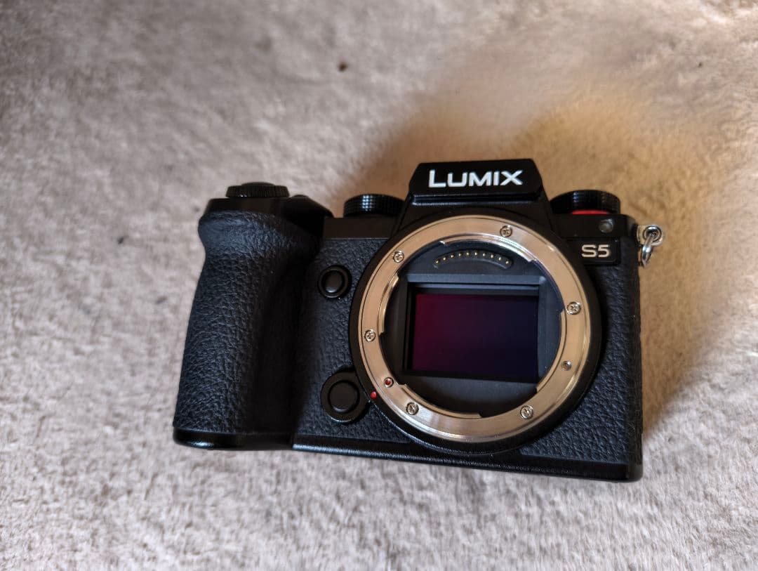 Panasonic Mirrorless Interchangeable Lens Cameras Lumix S5