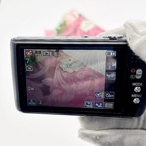 Compact Digital Camera Panasonic Lumix Dmc-Fx70 Leica