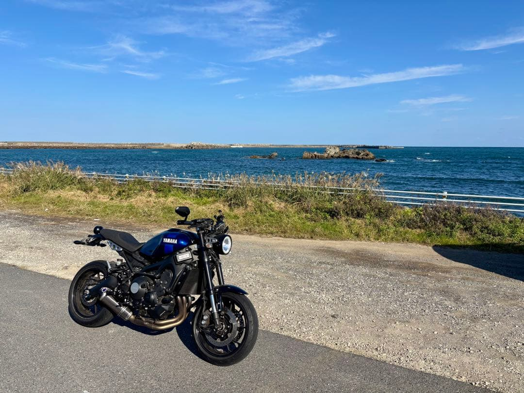 Yamaha Motorcycle Frames Xsr900 2019