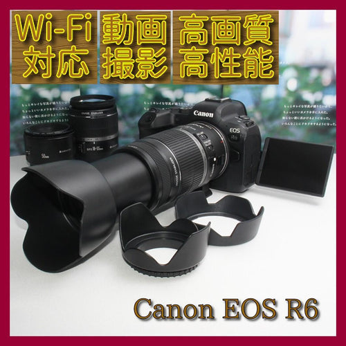 Canon Digital Slr Eos R6