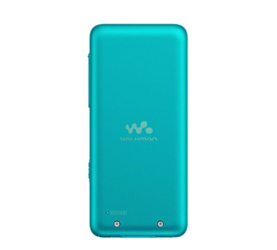 Sony Digital Audio Player (4Gb) Nw-S313