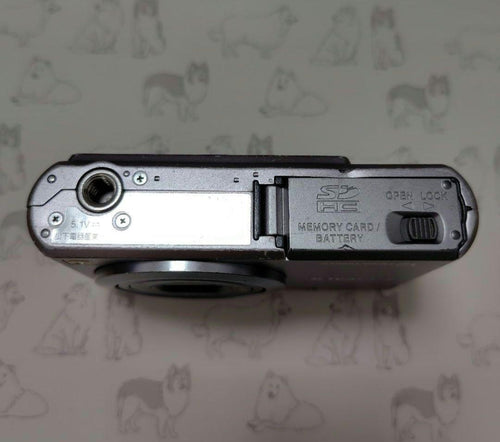Panasonic Compact Digital Cameras Rt41 Lumix Dmc-Fx100