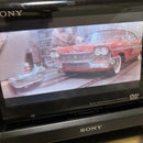 Sony Portable Player Dvd Walkman D-Ve7000S