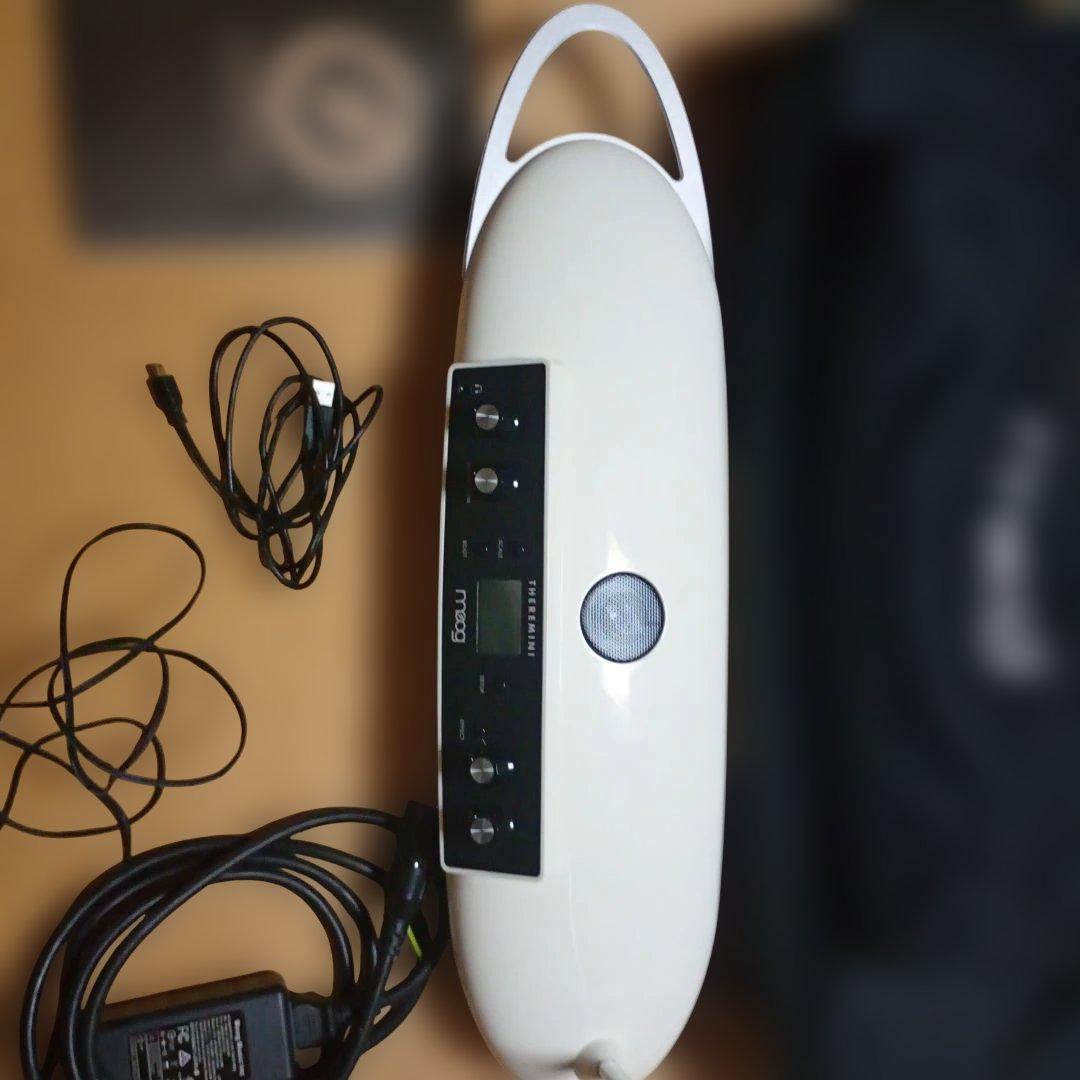 Moog Theremins Theremini