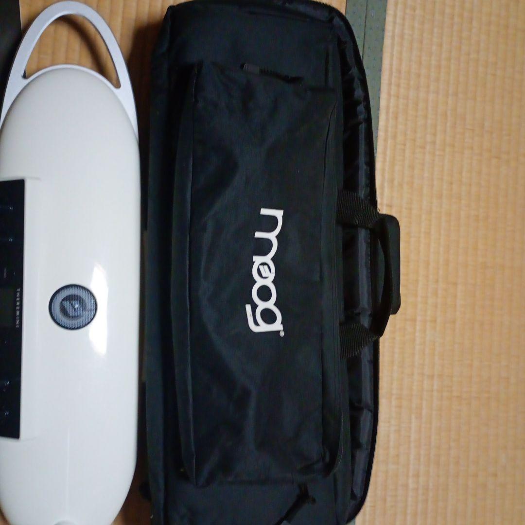 Moog Theremins Theremini