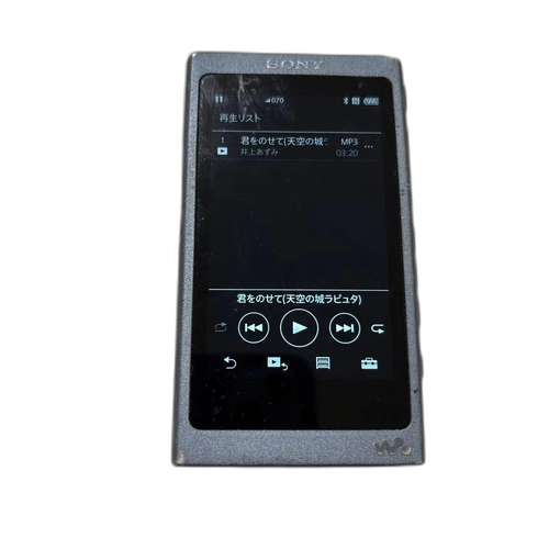 Others Sony Walkman Nw-A45