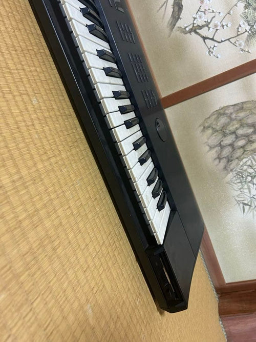 Roland Others S-50