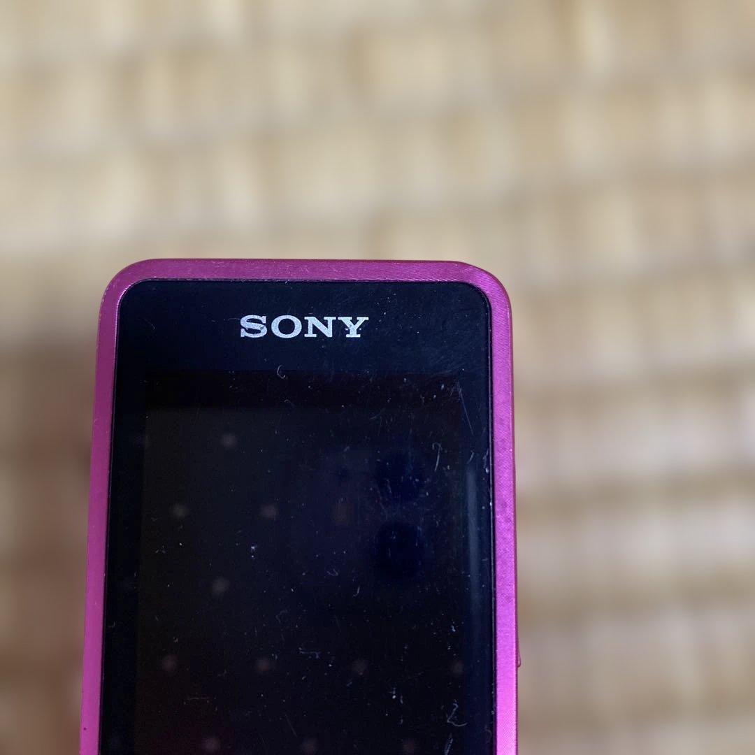 Sony Other Nw-S13K