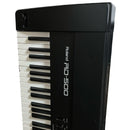 Roland Keyboards Digital Pianos Rd-500