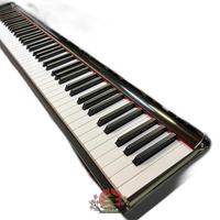 Korg Keyboard Electronic Piano Grand Stage Gs1-88 88 Ok