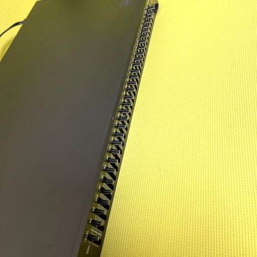 Roland Equalizers E-131 Graphic Equalizer