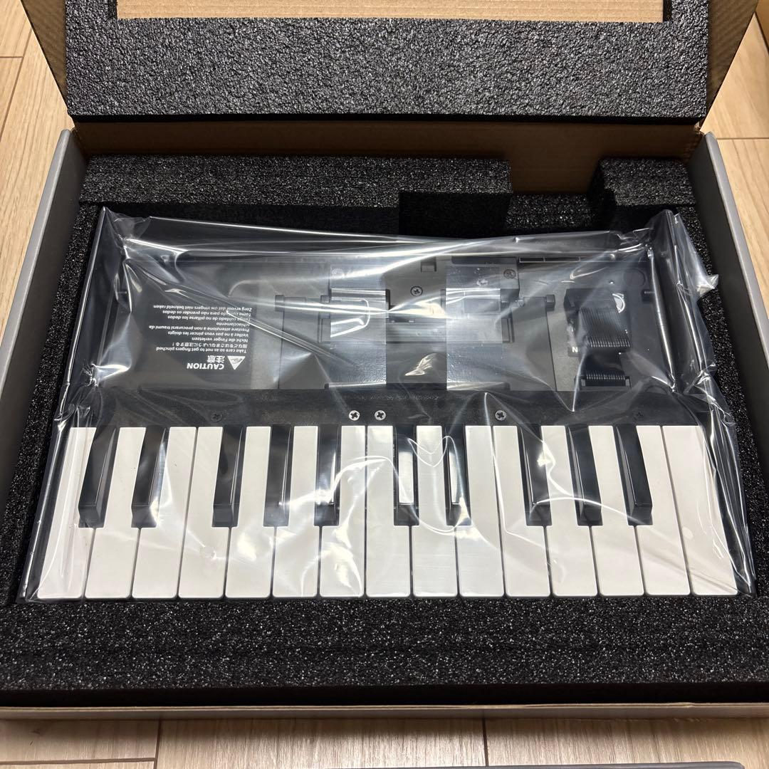 Roland Analog Synthesizers Ju-06A Boutique K-25M