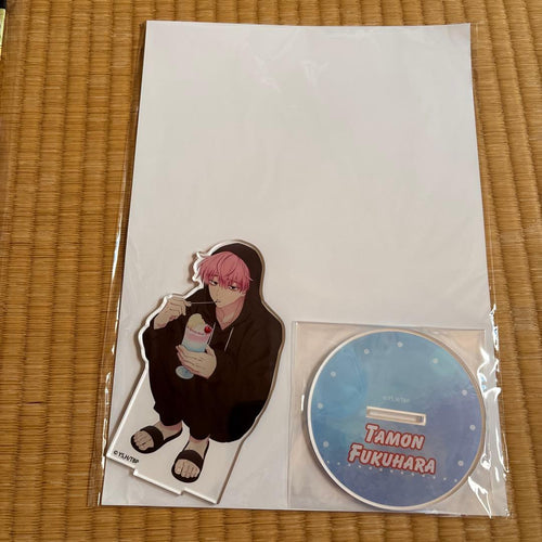 Acrylic Stands S