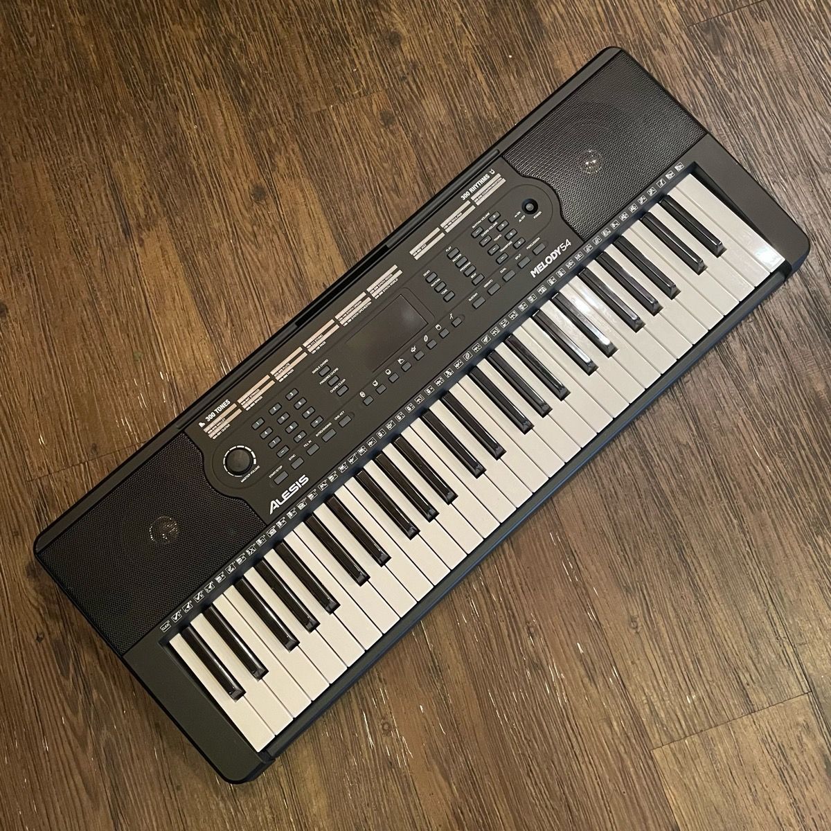 Alesis Analog Synthesizer Melody54
