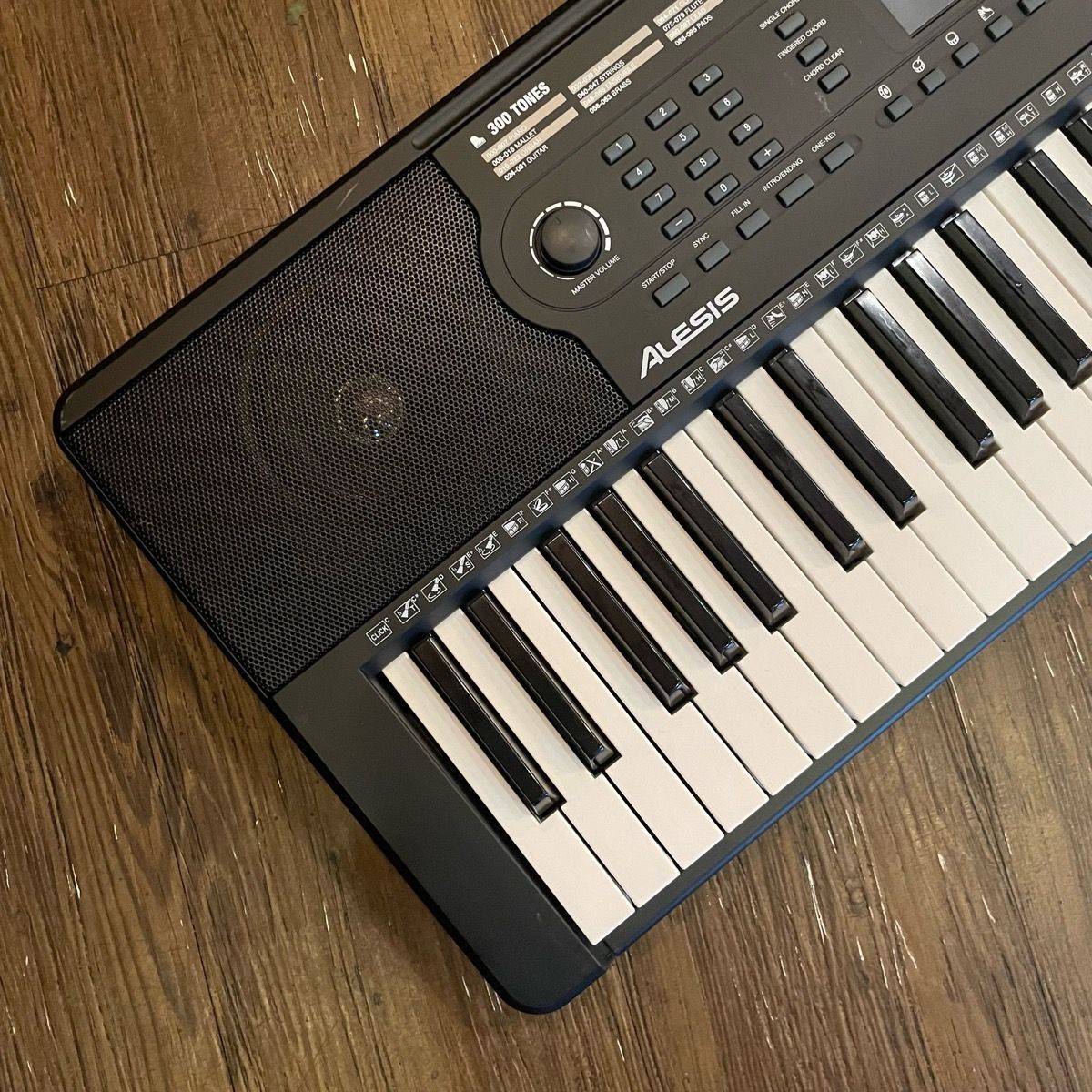 Alesis Analog Synthesizer Melody54