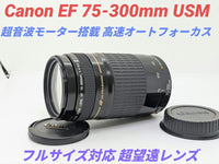 Canon Zoom Lenses 6 30 Ef 75-300Mm Usm