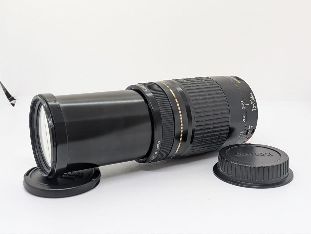 Canon Zoom Lenses 6 30 Ef 75-300Mm Usm