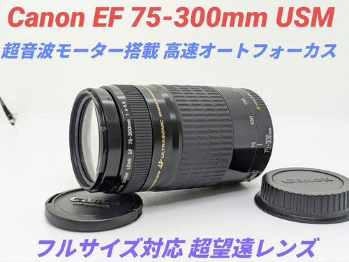 Canon Zoom Lenses 7 Ef 75-300Mm Usm