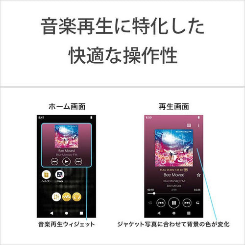 Sony Others Walkman A [64Gb/2023 Nw-A307 Bc