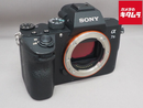 Mirrorless Interchangeable Lips 7Iii [Ilce-7M3]