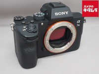 Mirrorless Interchangeable Lips 7Iii [Ilce-7M3]