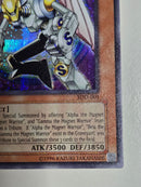 Yu -Gi -Oh! Ocg Duel Monsters (Foreign Language Version)