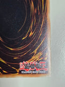 Yu -Gi -Oh! Ocg Duel Monsters (Foreign Language Version)