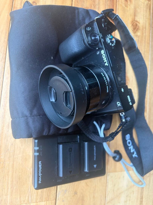 Sony Mirrorless Interchangeable Lens Cameras 6000 24.3Mp