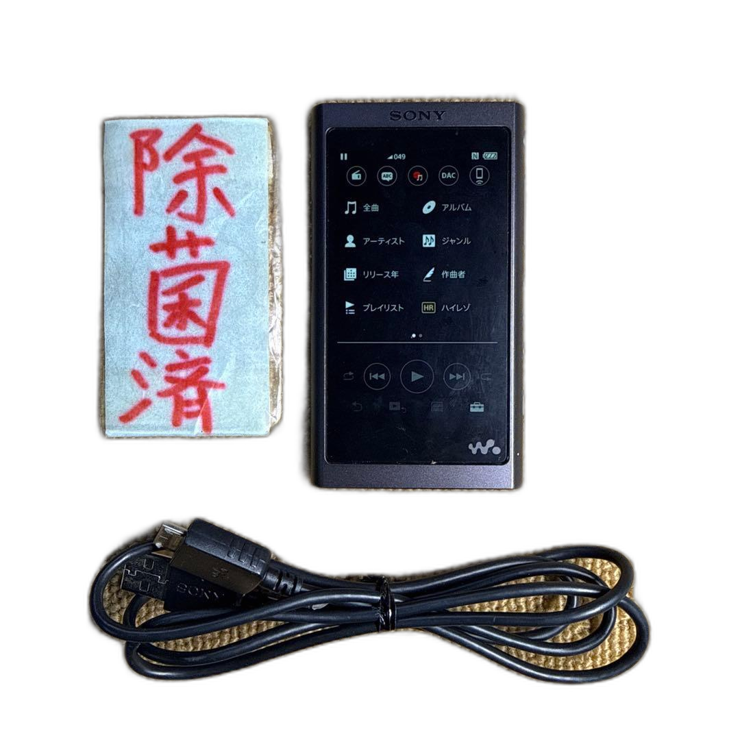 Digital Audio Player Sony Walkman Nw-A57 64Gb+32Gb