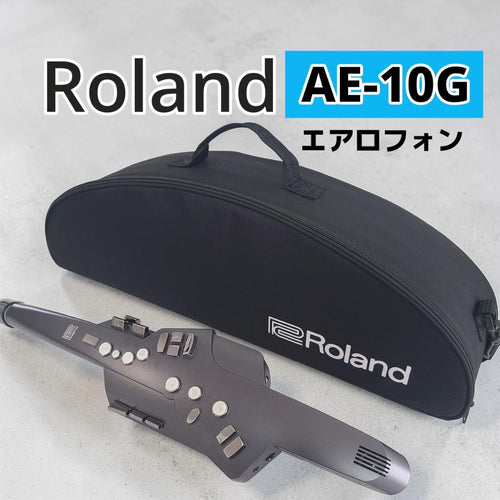 Roland Others Ae-10G