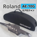 Roland Others Ae-10G
