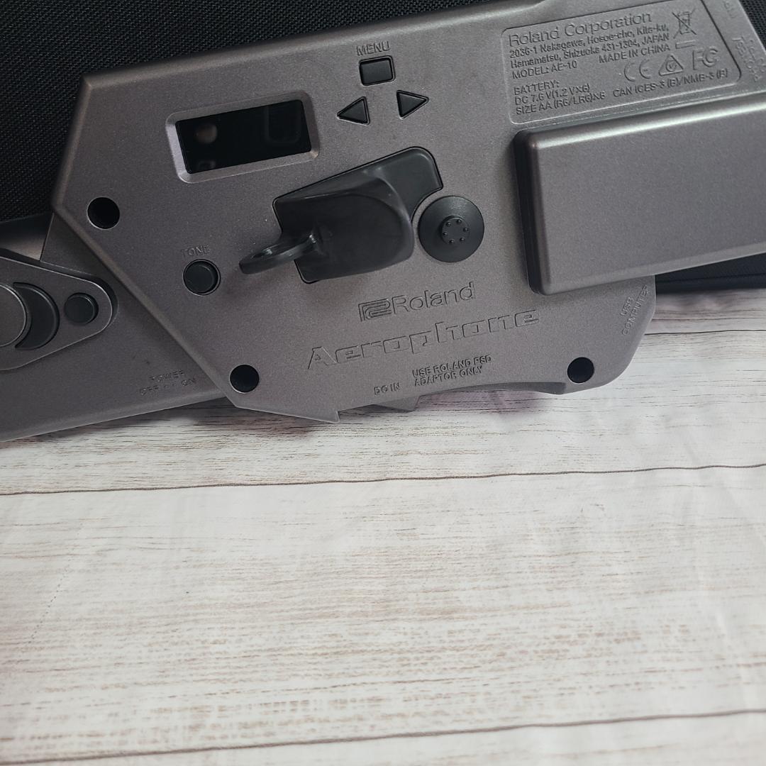 Roland Others Ae-10G