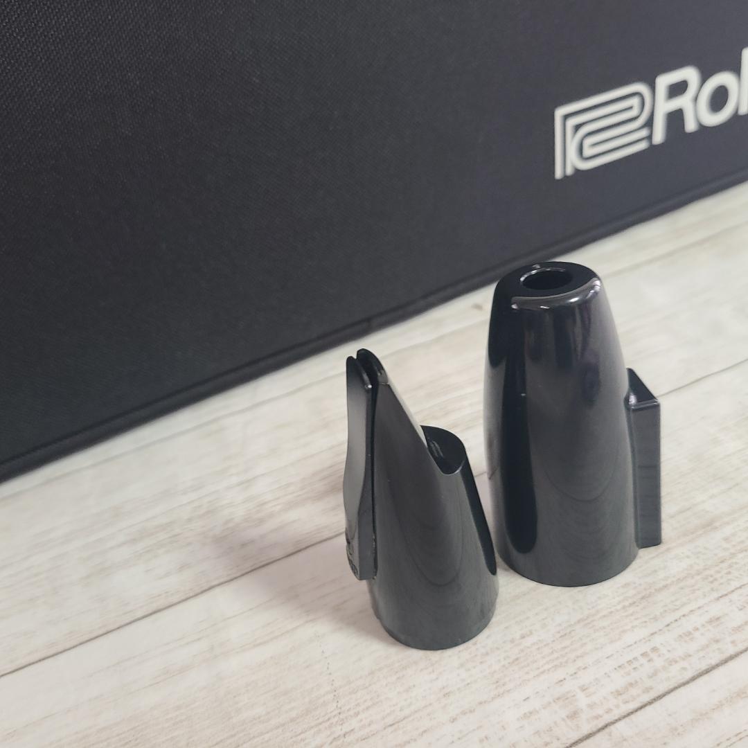 Roland Others Ae-10G