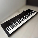 Yamaha Keyboards Digital Pianos Cp-7
