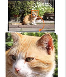 Lens (Single Focus) Canon F1.8