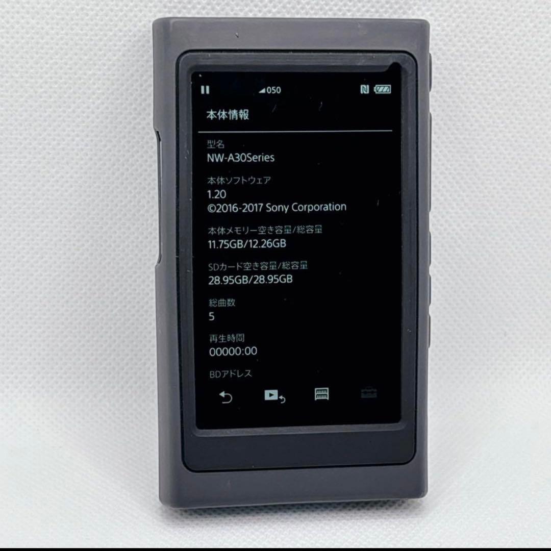 Sony Digital Audio Players Walkman Nw-A35 16Gb 32Gb Sd