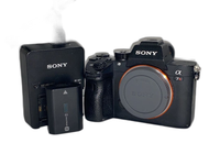 Sony Mirrorless Interchangeable Lips 7Riii A7R3 Ilce-7R3