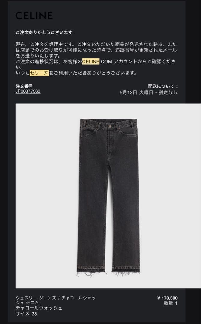 Celine Other 28