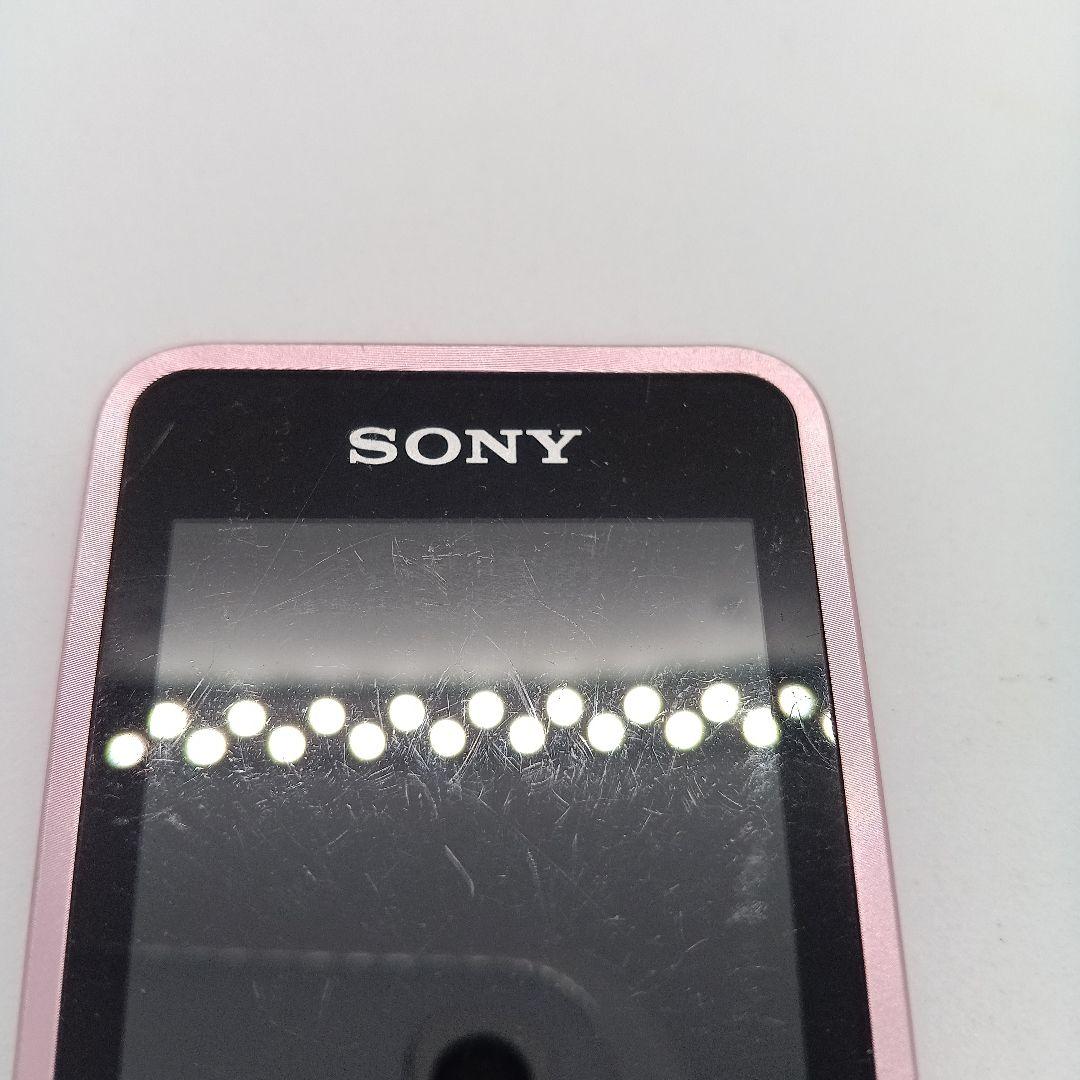 Sony Digital Audio Player Nw-S14